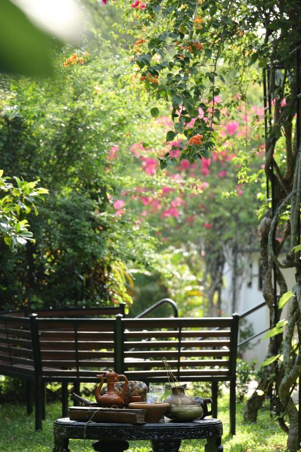 Ayurveda Centrum Lawrence Hill Paradise Hikkaduwa Exterior foto