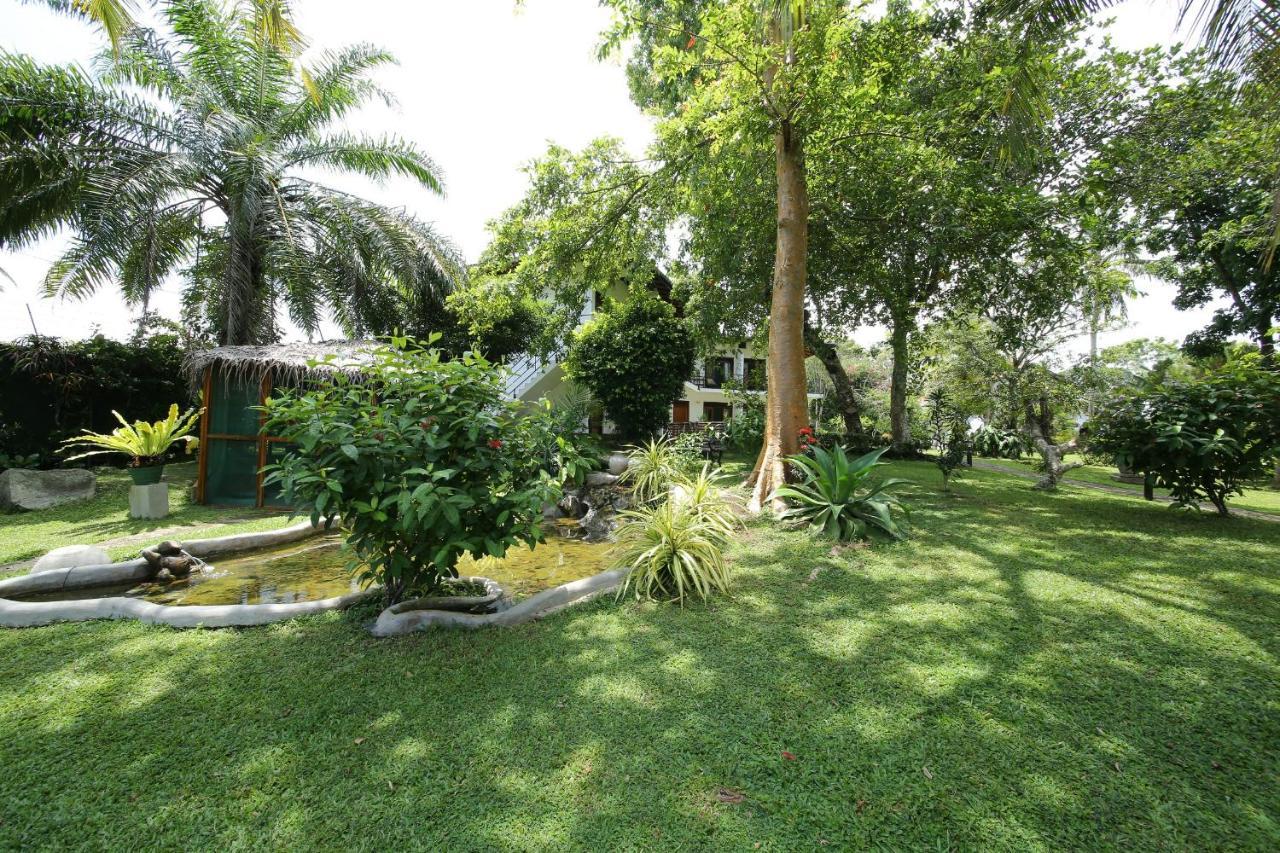 Ayurveda Centrum Lawrence Hill Paradise Hikkaduwa Exterior foto
